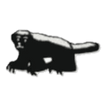 Blaireau