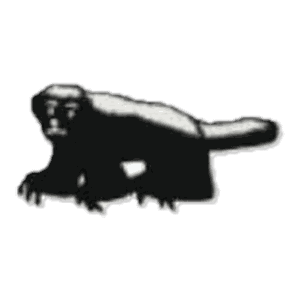 Blaireau