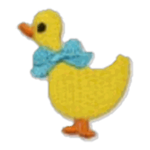 Canard