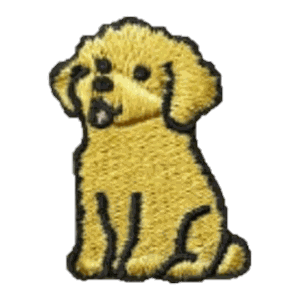 Caniche