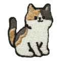 Chat calico