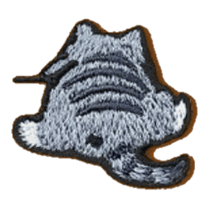 Chat gris de dos