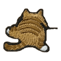 Chat roux de dos