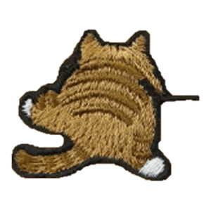 Chat roux de dos