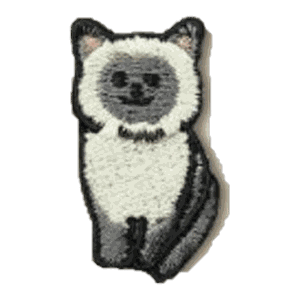 Chat siamois