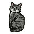 Chat tigré gris