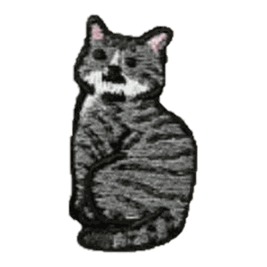 Chat tigré gris