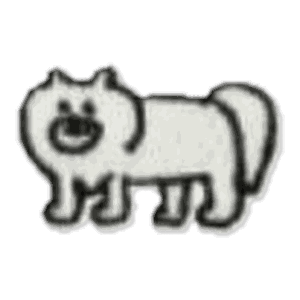 Chat touffu
