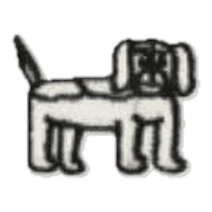 Chien à collier