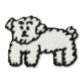 Chien bouclé