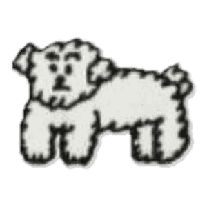 Chien bouclé