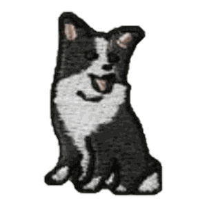 Chien noir et blanc