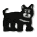 Chien noir