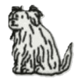 Chien poilu