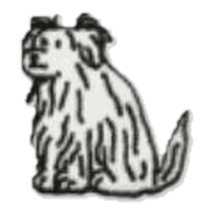 Chien poilu