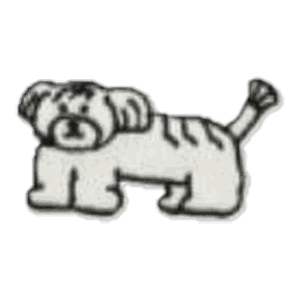 Chien tigré