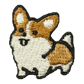 Corgi