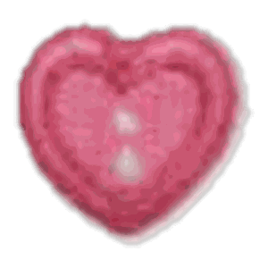 Cœur bouton