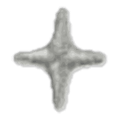 Étoile argent
