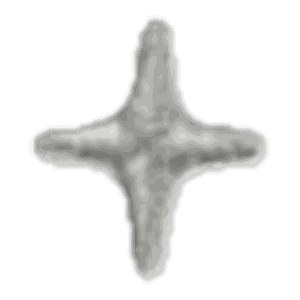 Étoile argent