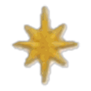 Étoile dorée 2