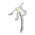 Fleur blanche à tige