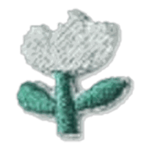 Fleur blanche douce