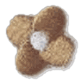 Fleur caramel
