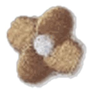 Fleur caramel