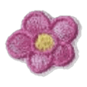 Fleur fuchsia