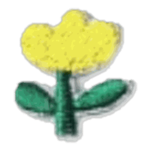 Fleur jaune