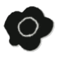 Fleur noire