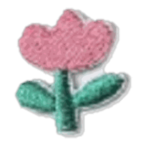 Fleur rose