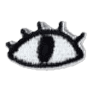 Œil