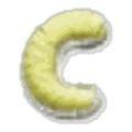 Lettre C · Multicolore