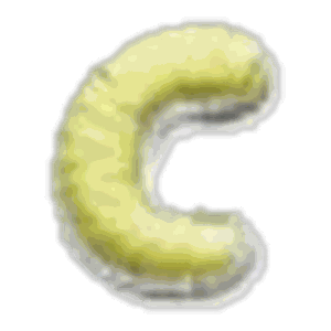 Lettre C · Multicolore