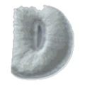 Lettre D · Majuscule blanche