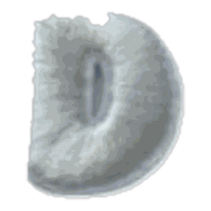 Lettre D · Majuscule blanche