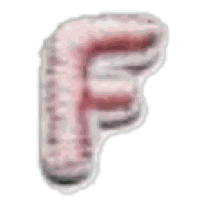 Lettre F · Multicolore