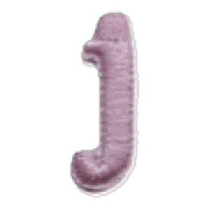 Lettre j · Minuscule rose