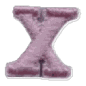 Lettre x · Minuscule rose
