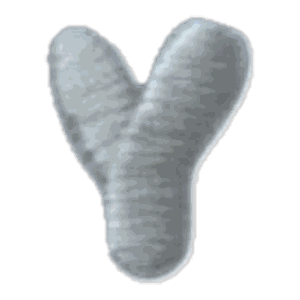 Lettre Y · Majuscule blanche
