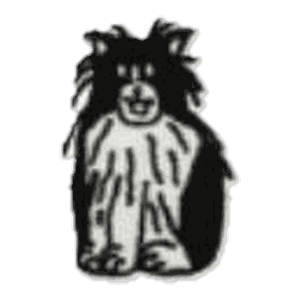 Lion hirsute