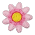 Marguerite rose