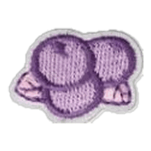 Myrtilles