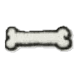 Os