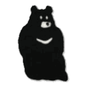 Ours noir