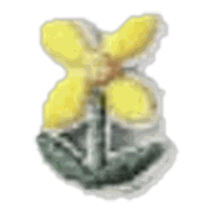 Petite fleur jaune