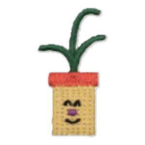 Plante en pot