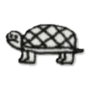 Tortue